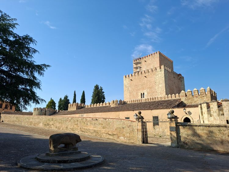 Castillo y verraco Ciudad Rodrigo ree Tour Ciudad Rodrigo: ¿merece la pena o es mejor una visita guiada?
