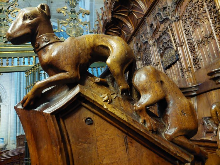 Catedral coro perros