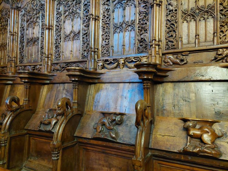 Catedral coro