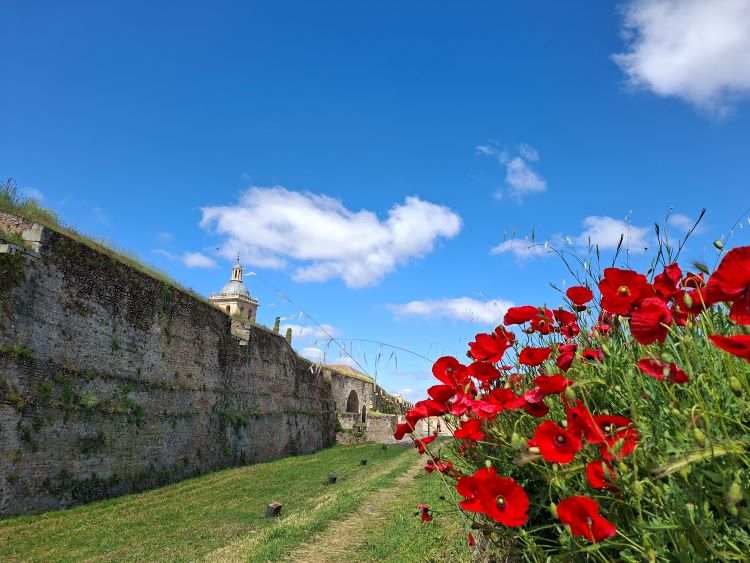 Fortificación fosos amapolas