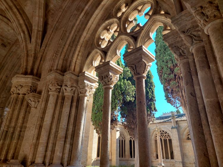 Ventanal claustro catedral
