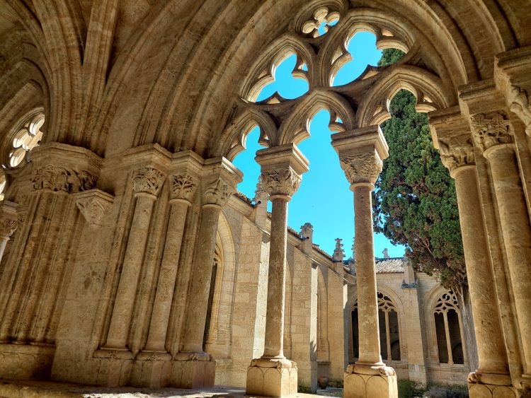 Ventanales claustro catedral